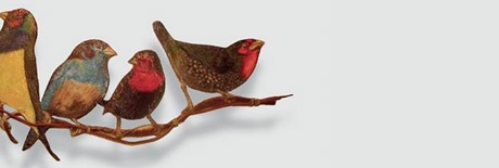 Ser pássaro: ensaio para muitos voos | Ateliers Carta Branca | Mário Afonso